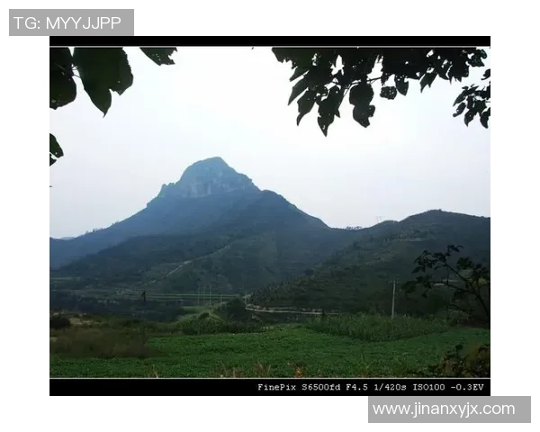 陈强独家分享攀岩技巧与心得体会助你轻松征服高峰 陈强独家分享攀岩技巧与心得体会助你轻松征服高峰